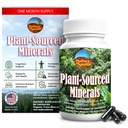 Pflanzenbasierte Mineralien, 60 Kapseln, organische natürliche Trace-Mineralien und Antioxidantien, die die Immun- und Verdauungssysteme unterstützen und die optimale Gesundheit fördern. Sourced und Made in USA