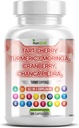 Tart Kirsch Extrakt Kapseln 20.000mg mit Turmeric 8000mg Moringa 4000mg Cranberry 2000mg Chanca Piedra Celery Quercetin ACV Granatapfel L Selenomethionin - Uric Levels - 120 Ct