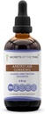 Secrets of the Tribe American Ginseng Tincture Alcohol-Free Liquid Extract, Farm Grown American Ginseng (Panax Quinquefolius) Getrocknete Wurzel (4 FL OZ)