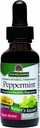 Natur Antwort Pfefferminz Blatt mit Bio-Alkohol, 1-Fluid Unze | Verdauungsunterstützung | Minimieren Stomach Discomfort | Dietary Bowel Support