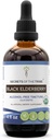 Secrets of the Tribe Black Elderberry Alcohol-Free Tincture (Glycerite) 680 mg USDA Organic Black Elderberry (Sambucus Nigra) Getrocknete Berry (4 Fl Oz) Immununterstützungsergänzung