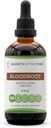 Secrets of the Tribe Bloodroot Alcohol Tinkture Extract, Responsible Farmed Bloodroot (Sanguinaria Canadensis) Getrocknete Wurzel Tinkture Supplement (4 fl oz)