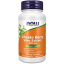 JETZT Ergänzungen, Chaste Berry Vitex Extract 300 mg mit Dong Quai, Women's Health*, 90 Veg Kapseln
