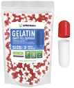 XPRS Nutra Größe 3 Leere Kapseln - 500 Graf Leere Gelatine Kapseln - Pillen DIY Kapsel Füllung - Pure Bovine Pill Gel Kapseln für Do-It-Yourself Ergänzungen (Red/White)