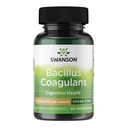 Swanson Bacillus Coagulans Sporen-Form Probiotikum für Erwachsene, die Shelf-stabile Verdauungsunterstützung mit 6 Milliarden CFU suchen - Säureresistent (60 vegane Kapseln)