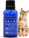 HA4E - Cat UTI Remedy - Natürliche Nierenunterstützung für Katzen - unterstützt Blasen- und Urinärgesundheit - Nierenreiniger - Non-GMO, Organic, Chemical-Free - 300 Tabletten