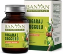 Banyan Botanicals Yogaraj Guggulu – Organic Joint Support Supplement ---Ayurvedic Blend for Support The Skeletal and Neuromuscular Systems* – 90 Tablets – Non-GMO, Sustainable Sourced, Vegan