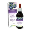 Naturalma Bilberry oder European Blueberry (Vaccinium myrtillus) Fruit Alcohol-Free Tincture - 4 fl oz Liquid Extract in Drops - Kräuterergänzung - Vegan
