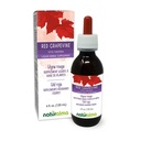 Naturalma Red Grapevine (Vitis vinifera) Blatt Alkoholfreie Tinktur - 4 fl oz Flüssiger Extrakt in Tropfen - Kräuterergänzung - Vegan