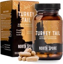 North Spore Organic Turkey Tail Extract Pilzergänzung Kapseln | Stamina & Endurance | 60 Tage Versorgung | High Potency Blend | 100% Fruchtkörper Extrakte | Vegan, Non-GMO | 120ct