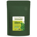 Banyan Botanicals Organic Guduchi Powder – Bio Immune Health Supplement – für natürliches Detox, Balanced Digestion & Healthy Skin* – 1 lb – Non-GMO Sustainable Sourced Vegan FFL