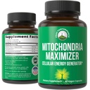 Mitochondria Maximizer mit CoQ10 und aktivem PQ. Best Mitochondrial Support Supplement mit MCT-Öl. Natürlicher Zellgenerator für saubere, fokussierte Energie 60 Vegetarische Kapseln