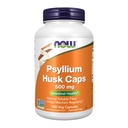 JETZT Nahrungsergänzungsmittel, Psyllium Husk Caps 500 mg, Non-GMO Project Verified, Natürliche lösliche Faser, Darmgesundheit*, 500 Veg Kapseln
