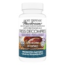 Host Defense MycoBotanicals Stress Decompress* Kapseln - Pilzergänzung mit Zitronenbalsam & Ashwagandha Wurzel - mit Reishi, Lion's Man & Skullcap - 60 Kapseln (30 Servierungen)*