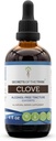 Secrets of the Tribe Clove Tincture Alcohol-Free Liquid Extract, Clove (Syzygium Aromaticum) Getrocknete Blütenknospen (4 FL OZ)