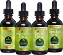 Gehen Sie Nährstoffe Verdauung & Detox Bundle – Flüssige Chlorophyll, Liver Edge, Darmrand, Turmeric Ease – Unterstützt Reinigung, Verdauung, Lebergesundheit und Körperverteidigung, Revitalisieren Sie Haut &Vitalität