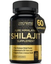 Atlantis Nutrition Himalayan Shilajit Kapseln Formuliert mit 20% Fulvic Säure | 10:1 Extrakt Bereitstellung 10.000 mg D.H.E. | USA Made | Himalayan Shilajit Ergänzung für Männer & Frauen | 60 Kapseln