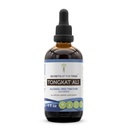 Secrets of the Tribe Tongkat Ali Alcohol-Free Liquid Extract, Wildcrafted Tongkat Ali (Eurycoma Longifolia) Getrocknete Wurzel (4 FL OZ)