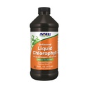 JETZT Nahrungsergänzungsmittel, entflammte Chlorophyllflüssigkeit, 100 mg pro Teelöffel, 16 fl. oz.