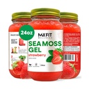Sea Moss Gel Raw (12 Flavors) 24oz Wildсrafted Gold Sea Moss Gel von Saint Lucia | 92 Vitamine und Mineralien | Pure Raw+Non-GMO | Vegan Superfood