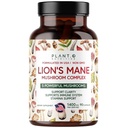 Plant.O Premium Lion's Mane Supplement, Alle natürlichen Nootropics Brain Supplement, 5 Pilz-Komplex – Lion’s Mane, Reishi, Chaga, Maitake, Shiitake für Immunität, Fokus, Mood & Memory Boost, 90 Caps