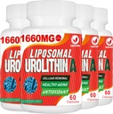 1660MG Urolithin A Supplement - Liposomal Urolithin 240 Kapseln