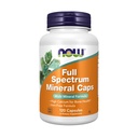 JETZT Ergänzungen, Full Spectrum Mineral Caps, Multi Mineral Formula, 120 Veg Kapseln