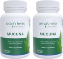 Tattva Kräuter Bio Mucuna Pruriens – Natürliche L-Dopa, Dopamine-Unterstützung, Vegan & Gluten-frei - 240 Kapseln (2-Pack)