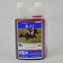 SU-PER B-12 Energy Horse Supplement - Equine Vitamine B-12 & B-9 Folic Acid Support Liquid - Red Blood Cell Production & Stamina Unterstützung für Peak Performance - Quart, (2 Pack)