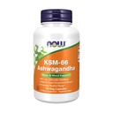 JETZT Ergänzungen, KSM-66 Ashwagandha®, Stress- und Schlafunterstützung, 90 Veg Kapseln