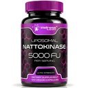 Nattokinase Supplemento Capsule 5000 FU, Nattokinase Testato di Terze Parti – Enzimi dal Natto Giapponese – Supporto giornaliero per il benessere – 120 Count (Pack of 1)