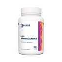 Renue von Science Ashwagandha | Hohe Stärke Liposomal Ashwagandha Ergänzungen | 90 Ashwaganda Kapseln - 200mg Ashwagandha per Servieren | Non-GMO | Made in The USA Third-Party Tested