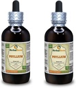 Psyllium (Plantago Ovata) Tincture, Organic Dried Seed Liquid Extract (Markenname: HerbalTerra, Proudly Made in USA) 2x4 fl.oz (2x120 ml)