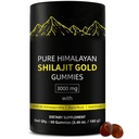 Shilajit Gummies | Alpha Gummies für Männer | Lab Tested I No Added Sugar | Ashwagandha, Gokshura | Fulvic Acid & 85+ Trace Minerals für Männer, Frauen | Non-GMO | 60 Gummy