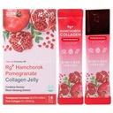 Rg+ Granatapfel Collagen Jelly(20gx14stick) / Anti-Ageing Korean-Beauty /360DA Marine Collagen +Vitamin C&E Ginseng Konzentrat für Immununterstützung, Haut, Haar, Nagel & Gelenk (14)