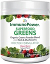 Revitalisieren Sie Ihr Wellness Bio Greens und Reds Superfood-Pulver für Vibrant Health