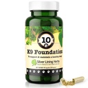 Silver Lining Herbs Overall Dog Health Supplements 10 K9 Foundation - Natural Canine Ergänzungen für Hunde Leber, Nieren, Verdauung, Vitalität und Immunsystem Unterstützung für Hunde - 90 Kapseln