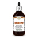 Hawaii Pharm Kudzu Alkoholfreier Extrakt, Glycerit für Leber Wellness, fördert Herzfunktion, unterstützt Herz-Kreislauf-Balance, schützt Leber vor oxidativem Schaden, lindert Kopfspannung - 4 fl.oz