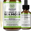 Benevolent Nourishment Organic Irish Sea Moss Drops 2oz - Burdock Root, Bladderwrack & BioPerine [Ultra Strength] 30.000mg Sea Moss Flüssigkeitstropfen für Immununterstützung, Schilddrüse, Gut, Haut und Gelenkgesundheit