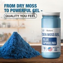 Biolore Sea Moss Gel - Blue Spirulina 16oz, Wildcrafted Irish Seamoss mit essentiellen Vitaminen & Trace Minerals, Vegan Superfood Made in USA