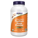 JETZT Nahrungsergänzungsmittel, Psyllium Husk Pulver, Certified Organic, Non-GMO Project Verified, lösliche Faser, 12-Ounce