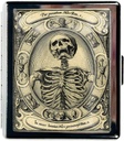Pilule de voyage Organisateur petite coque à pilules pour les essentiels de la poursuite 7 jours Boîte à pilules mignon avec miroir Boîte à pilules portable pour les cadeaux de voyage de Pocket ou Purse Pill Containe (Skeleton Vintage)