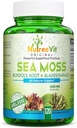 NutreeVit 100% biologique - Mousse de mer + Bladderwrack + Burdock Powerful Superfood Formula (120 capsules)