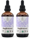 Bugleweed USDA Extrait sans alcool biologique (LAN, Lycopus Virginicus) Herbe séchée 2x4 oz