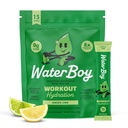 Waterboy Workout Hydration | 2,960mg Zucker Kostenlose Elektrolyt-Pulver-Packets | L-Glutamin + Vitamine | Kein Zucker, alle natürlichen, Glutenfrei | 15 Getränke-Stick-Mixe (Lemon Lime)