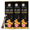 Himalayan Shilajit Honey Sticks für Herren & Frauen - 75%+ Fulvic Acid & Trace Minerals - Roher Honig, Safran & Himalaya Shilajit Resin - Stamina, Performance & Energy Support - (Pack von 30)