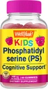 Eh bien oui Kid's Phosphatidylsérine Gummies (100mg) Phosphatidylsérine Supplément de soutien cognitif