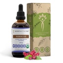 Secrets of the Tribe Hibiscus Tincture Alcohol-Free Liquid Extract, USDA Organic Hibiscus Sabdariffa Getrocknete Blume (4 FL OZ)
