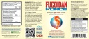 FUCOIDAN FORCE® - 24 Flaschen Pack