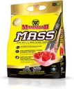 MAMMOTH Maß: Gewichtszunahme, High Calorie Protein Powder Workout Smoothie Shake, Meal Replacement, Low Sugar, Whey Isolate Konzentrat, Casein Blend Protein, High Protein (Strawberry, 5lb)